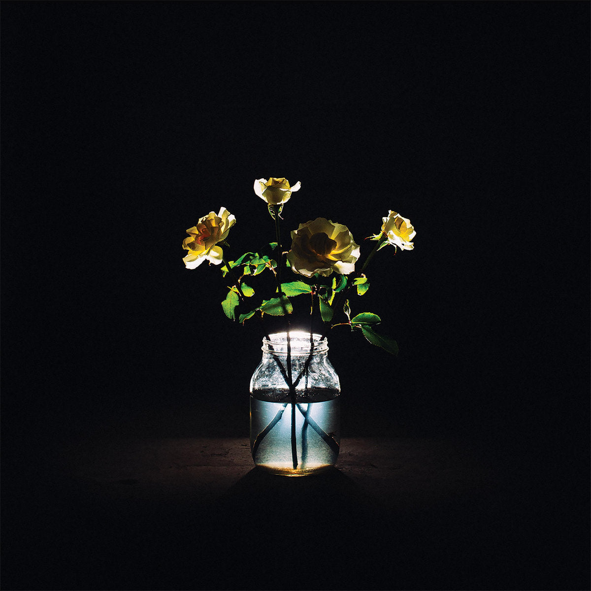 A glass jar filled with water holds several yellow roses, illuminated against a dark, black background.