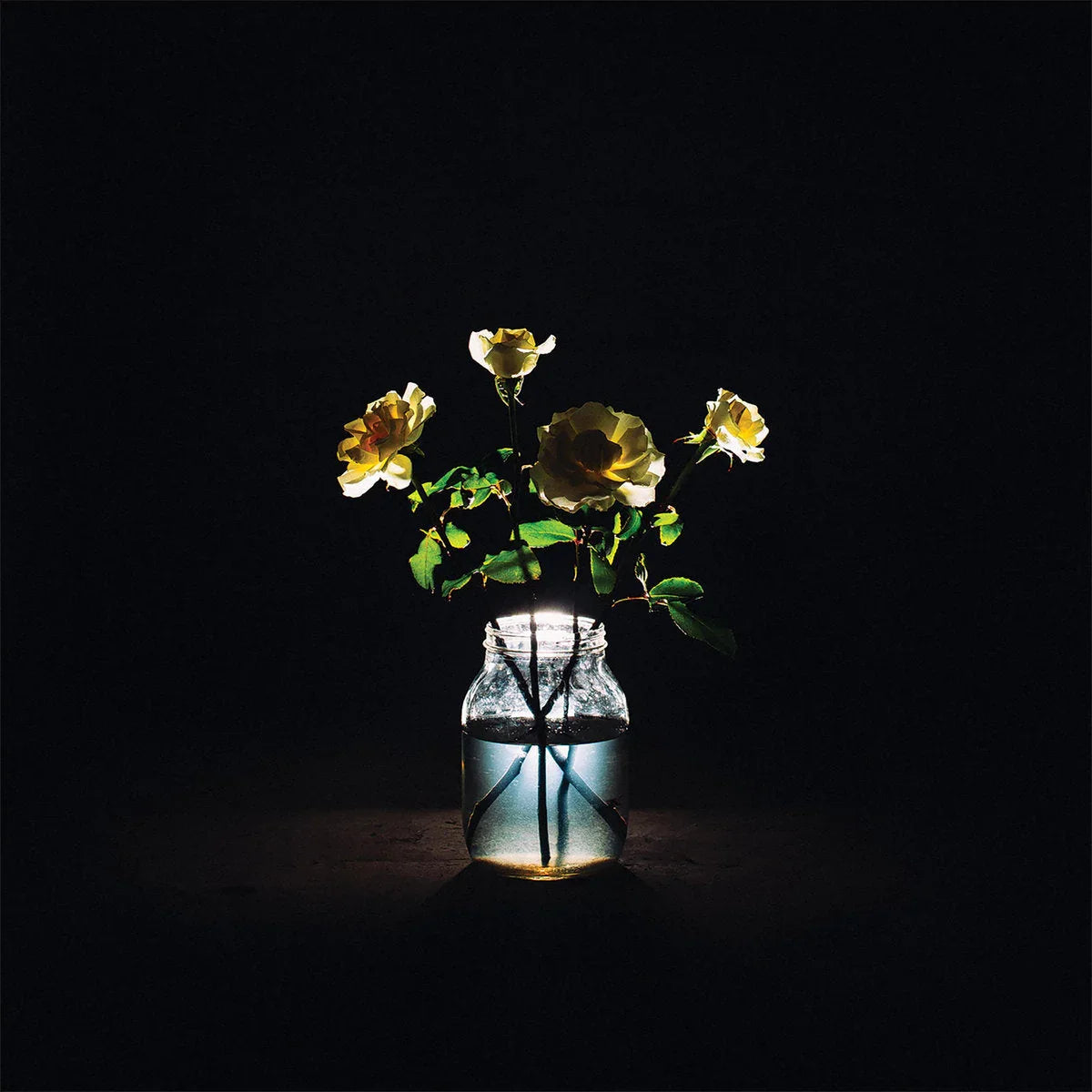 A glass jar filled with water holds several yellow roses, illuminated against a dark, black background.