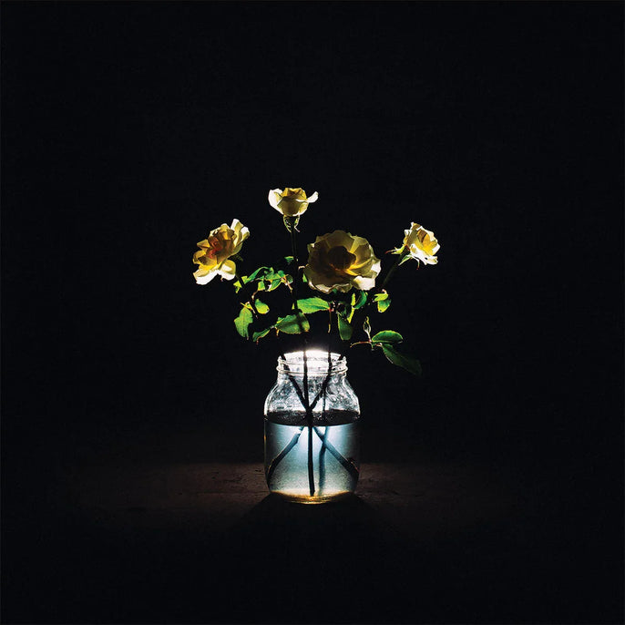 A glass jar filled with water holds several yellow roses, illuminated against a dark, black background.
