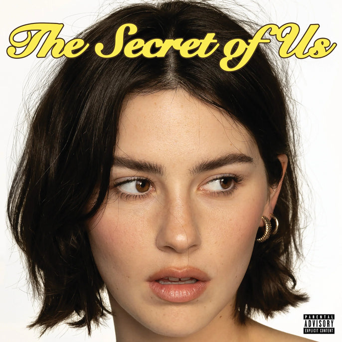 Vinyl album cover with The Secret of Us text, close-up of woman with short dark hair.