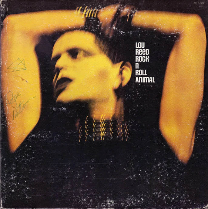 Vintage Lou Reed Rock n Roll Animal vinyl record cover with dramatic yellow lighting.