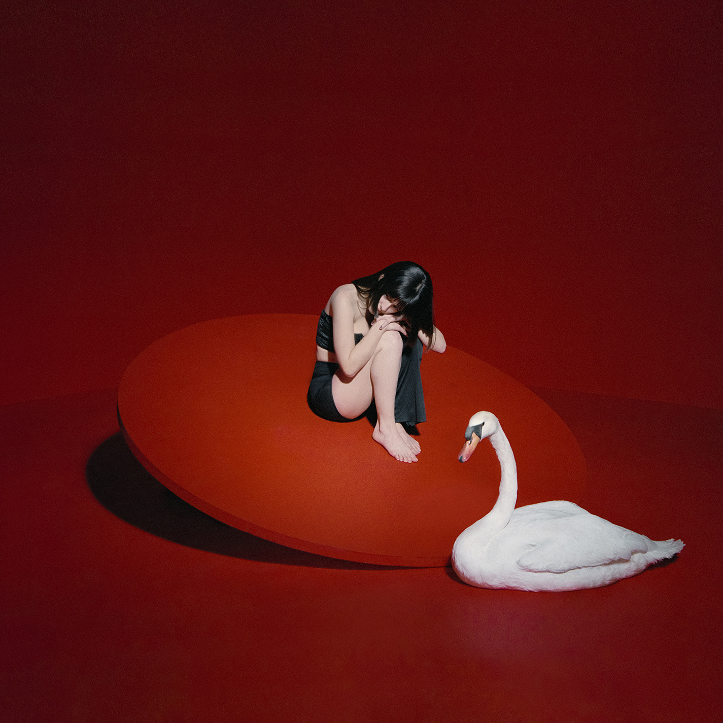 A woman sits on a circular red platform with her head down, while a white swan stands on the red floor nearby.
