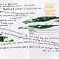 Deep Forest - Deep Forest - Used CD