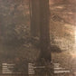 Noah Kahan - Stick Season - 2 LPs - New/Sealed Vinyl