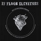 13th Floor Elevators - Bull Of The Woods - Half-Speed Mastered - 1LP - New Vinyl