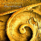 Jamshied Sharifi - A Prayer For The Soul Of Layla - Used CD