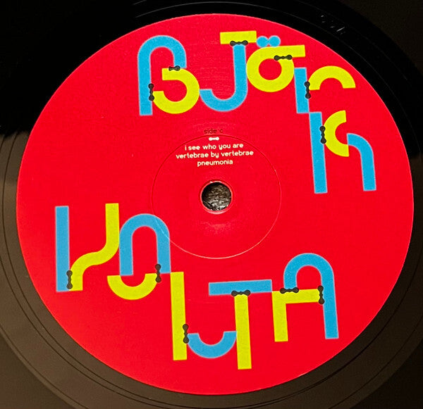 Bjork Volta vinyl record with bold red label, colorful typographic design, and tracklist