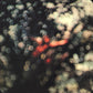 Pink Floyd - Obscured By Clouds - 1 LP - Music from La Vallee - Brand New Vinyl