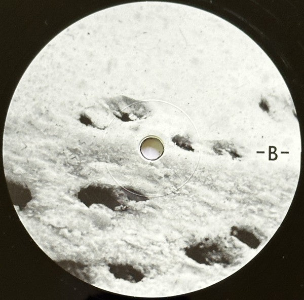 Close-up of vinyl record with lunar surface label design and the letter B side marking