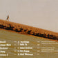 Afel Bocoum – Alkibar - Preowned CD w/slipcase