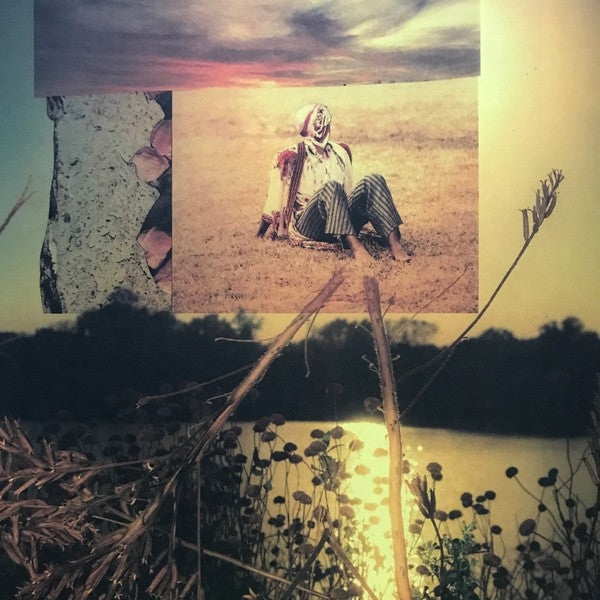 Collage of sunset over lake, person sitting in field, tree bark, and dried plants, vinyl album art