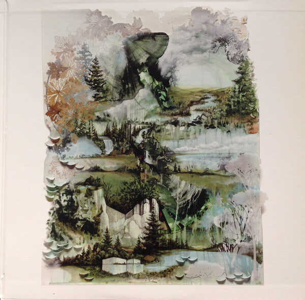 Surreal vinyl album cover art with layered forest landscape, abstract greenery, and misty trees