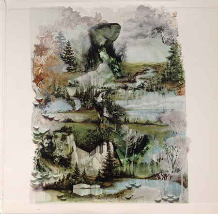Surreal vinyl album cover art with layered forest landscape, abstract greenery, and misty trees