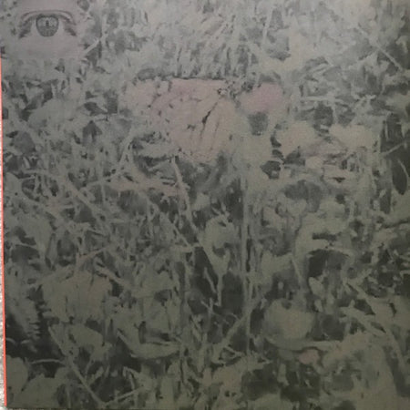 Vinyl record album cover featuring a camouflaged face hidden in dense foliage, abstract art