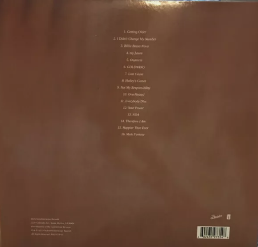 Brown vinyl record album back cover with tracklist of 16 songs centered in white text.