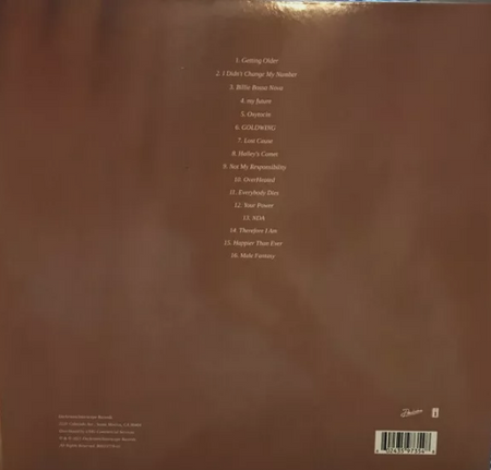 Brown vinyl record album back cover with tracklist of 16 songs centered in white text.