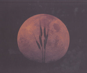 Neil Young - Harvest Moon - Limited Edition - 2 LPs - Clear Vinyl