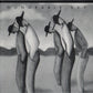 Peter Kater & R. Carlos Nakai  - Honorable Sky - Pre owned/Used CD