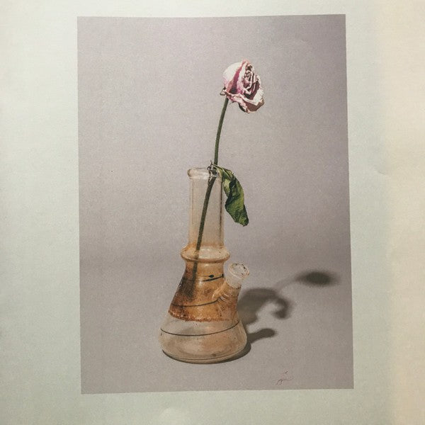 Wilted pink rose in a glass bong vase on a neutral background, artistic still life.
