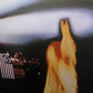 Jimi Hendrix - Band Of Gypsys - Remastered - Brand New Vinyl - 1 LP