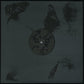 Bjork - Medulla - 2 LPs - New / Sealed - Black Vinyl