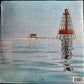 Jimmy Buffett – Havaña Daydreamin' - Playtested - Near Mint - Vinyl