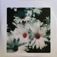 Lana Del Rey - Lust For Life - 2LP - Brand New/Sealed Vinyl