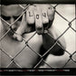 Green Day - American Idiot - With Poster - 2 LPs - Brand New Vinyl