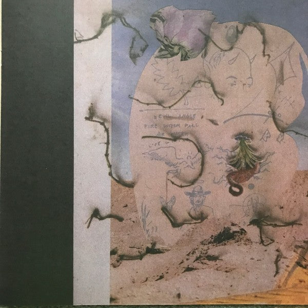 Surreal vinyl album cover with abstract tattooed elephant on sandy desert background