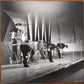 The Beatles - Live At The Hollywood Bowl - Brand New/Sealed Vinyl