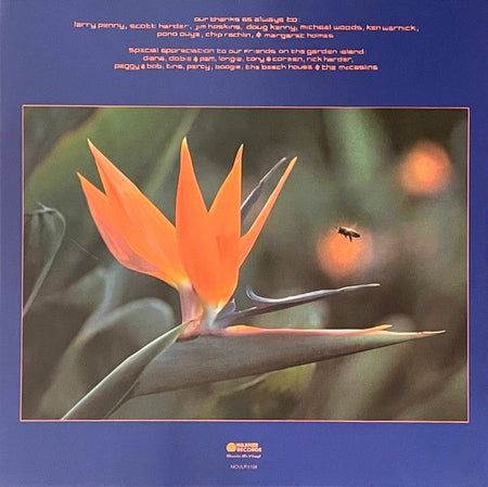 Close-up of a vibrant bird of paradise flower and a bee, with album credits and a Warm Records logo.