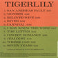 Natalie Merchant - Tigerlily - Used CD