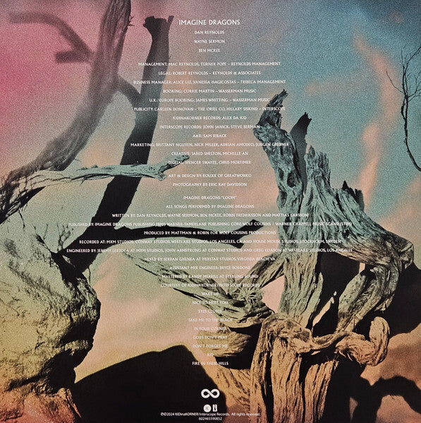 Imagine Dragons vinyl record back cover with song credits over abstract twisted tree artwork