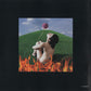 Paula Cole – This Fire Paula Cole - HDCD - Preowned CD