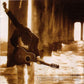 Peter White - Caravan Of Dreams - Pre owned/Used CD