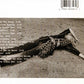 Joni Mitchell - Hits - Used CD