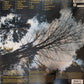 The Cranberries - To The Faithful Departed | Deluxe Remastered 2LP