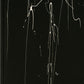 Scott Walker - Bish Bosch | Remastered Edition | 2LP | 2012 Avant-Garde Rock