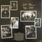 The Wallflowers - Bringing Down The Horse | 20th Anniv 2LP | T Bone Burnett