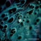 Linkin Park - From Zero | Deluxe 2LP Translucent Emerald Green Vinyl
