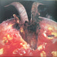 The Rolling Stones - Goats Head Soup | 180g Deluxe Ed 2LP | Hall of Fame
