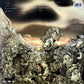 Korn - Follow The Leader | 140 Gram 2LP | Grammy Winning Album