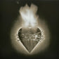 Dream Theater - Images & Words | LP | Clear Vinyl | Brick & Mortar Exclusive
