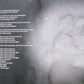 Kate Bush - 50 Words For Snow | 2LP | Snowy White Vinyl | Remastered