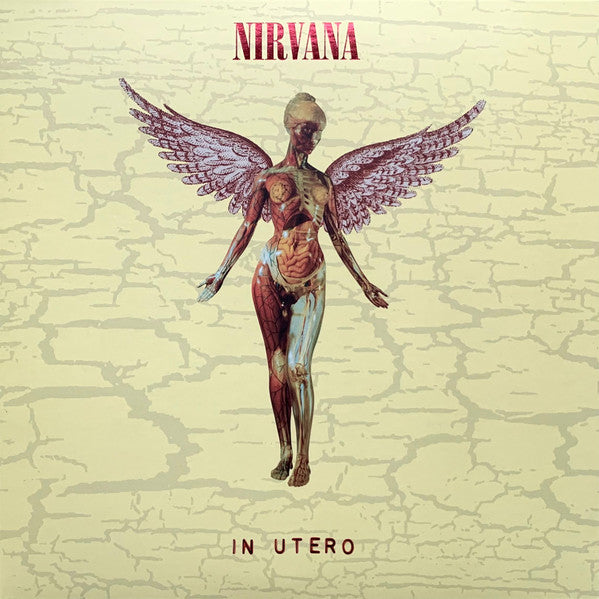 Nirvana - In Utero - 2LP 30th Anniversary Edition w/Bonus Tracks - Brand New Vinyl