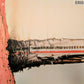 Beastie Boys — Licensed to Ill | 30th Anniversary Ed. LP | Ships Direct 2 U ASAP