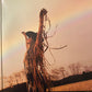 Lainey Wilson - Whirlwind | Deluxe 2LP Edition | 2025 Expanded Collector’s Vinyl