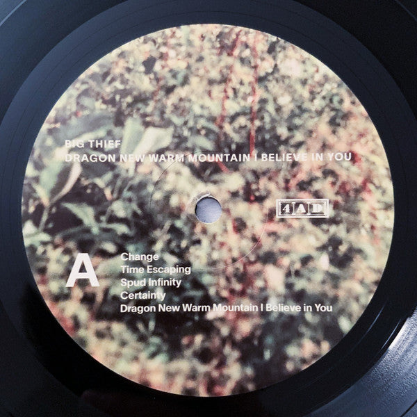 Big Thief - Dragon New Warm Mountain I Believe In You | 2LP Grammy Nom