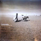 Tinariwen - Aman Iman Water Is Life | 180g 2LP | Tuareg Rock