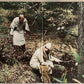 Midlake - The Courage Of Others | Horchata & Fog 2LP | Indie Exclusive